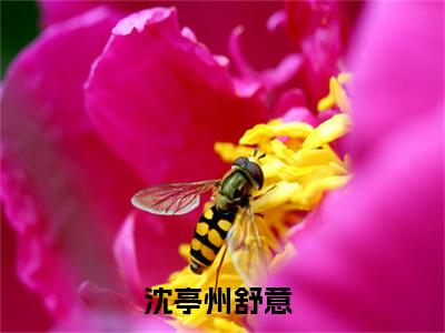 沈亭州舒意抖音完结版阅读《沈亭州舒意抖音》最新章节目录好书推荐_(沈亭州舒意)