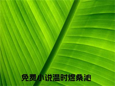 温时煜桑沁全文免费阅读无弹窗大结局-温时煜桑沁免费阅读最新章节列表（温时煜桑沁）