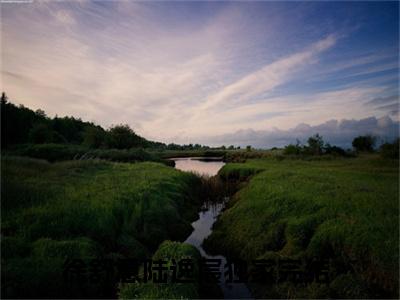 徐舒意陆逸宸（徐舒意陆逸宸）最新完结免费阅读-（徐舒意陆逸宸）悬疑小说在线阅读