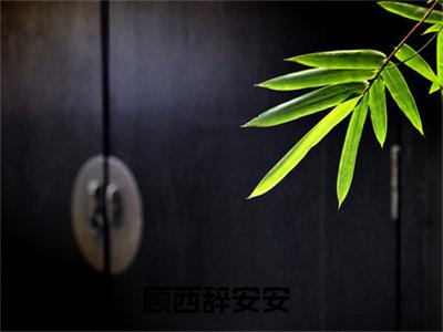 顾西辞安安（顾西辞安安）全文免费阅读_顾西辞安安最新章节列表_笔趣阁