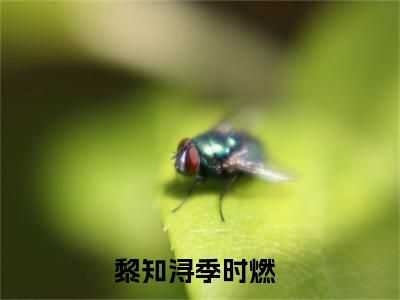 黎知浔季时燃书名是《黎知浔季时燃》在线赏析_黎知浔季时燃txt小说阅读_黎知浔季时燃在线阅读笔趣阁