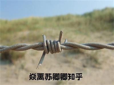 焱离苏卿卿全文免费在线阅读_（焱离苏卿卿全文免费阅读无弹窗大结局）焱离苏卿卿最新章节列表笔趣阁