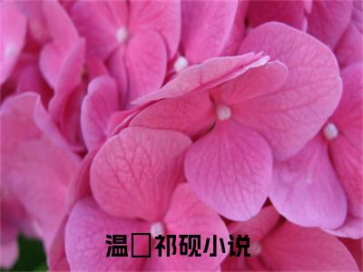 温婳祁砚完整版最新小说大结局-温婳祁砚无删版阅读