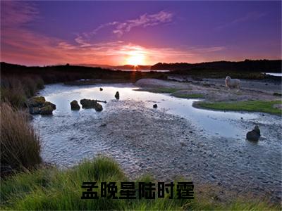 孟晚星陆时霆（孟晚星陆时霆）小说在线阅读_孟晚星陆时霆全本免费小说阅读（孟晚星陆时霆）