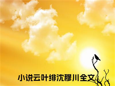 【新书】《云叶绯沈穆川》全文免费阅读无弹窗大结局-云叶绯沈穆川全章节免费阅读