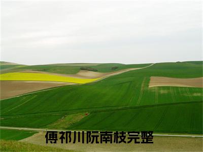 傅祁川阮南枝全文免费阅读无弹窗大结局_傅祁川阮南枝(傅祁川阮南枝)最新章节列表_笔趣阁