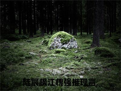 因为一个人，爱上一座城小说（陆宸枫江槐）全文免费阅读_（因为一个人，爱上一座城小说）陆宸枫江槐小说精彩在线赏析