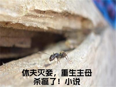 休夫灭妾，重生主母杀疯了！小说全文免费阅读（温声声萧殁）全文免费温声声萧殁读无弹窗大结局休夫灭妾，重生主母杀疯了！