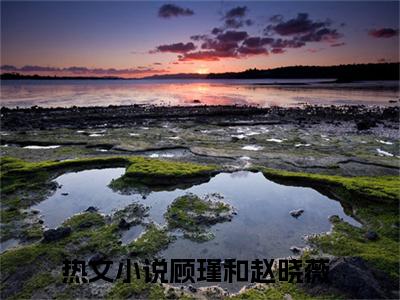 顾瑾和赵晓薇无广告小说（顾瑾和赵晓薇）全文免费阅读无弹窗大结局-顾瑾和赵晓薇在线阅读