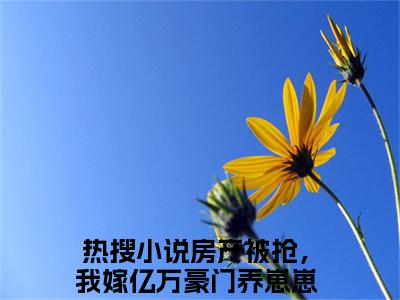 房产被抢，我嫁亿万豪门养崽崽乔蔓微小说免费阅读-房产被抢，我嫁亿万豪门养崽崽乔蔓言情小说阅读