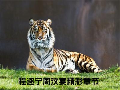 程遂宁周汶宴全文(程遂宁周汶宴)全文免费阅读无弹窗大结局_ 程遂宁周汶宴全文免费阅读最新章节列表_