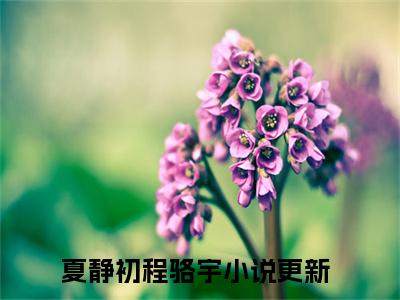 夏静初程骆宇小说最新章节（夏静初程骆宇）全文免费阅读无弹窗大结局_夏静初程骆宇免费阅读（夏静初程骆宇小说）