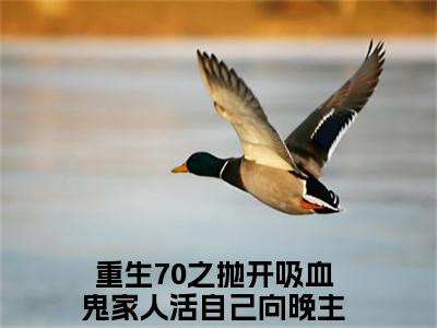 重生70之抛开吸血鬼家人活自己向晚（重生70之抛开吸血鬼家人活自己向晚）火热新书无弹窗大结局_（重生70之抛开吸血鬼家人活自己向晚）最新章节列表_笔趣阁