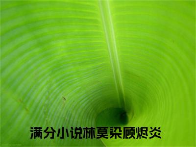 林莫染顾烬炎小说全文-林莫染顾烬炎最新章节免费阅读林莫染顾烬炎小说