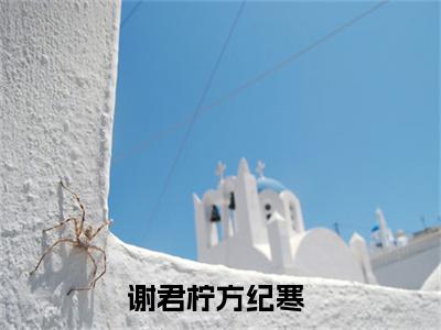 主人公叫谢君柠方纪寒的小说谢君柠方纪寒哪里免费看