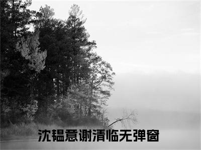 沈韫意谢清临小说(沈韫意谢清临)全文免费阅读_沈韫意谢清临（沈韫意谢清临）最新章节完整版免费阅读（沈韫意谢清临）