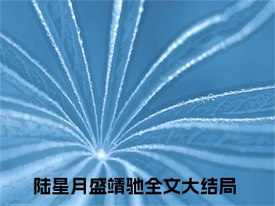 陆星月盛靖驰(陆星月盛靖驰)全文免费阅读无弹窗大结局_(陆星月盛靖驰免费阅读全文大结局)最新章节列表