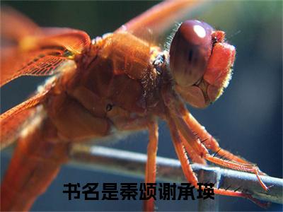 秦颂谢承瑛（秦颂谢承瑛）正版免费小说-秦颂谢承瑛抖音新上热文分享