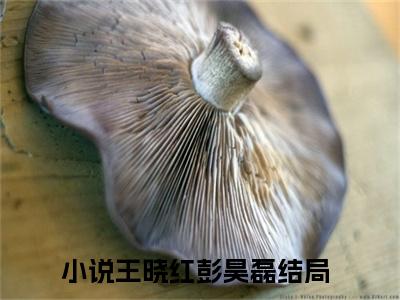 王晓红彭昊磊小说全文免费阅读正版 王晓红彭昊磊免费阅读无弹窗