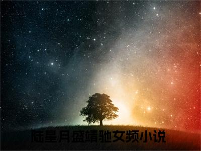 主角为陆星月盛靖驰的小说（陆星月盛靖驰）无弹窗大结局-陆星月盛靖驰最新小说全文阅读最新章节列表_笔趣阁