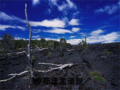 季斯年孟清越免费阅读（季斯年孟清越）全文免费阅读无弹窗大结局_季斯年孟清越免费阅读最新章节列表_笔趣阁