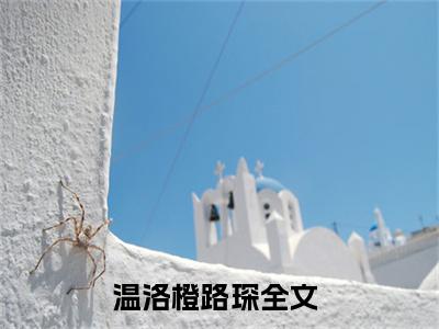 温洛橙路琛抖音新上免费热文 温洛橙路琛完结免费阅读无弹窗