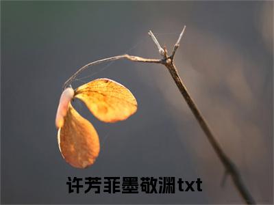 （许芳菲墨敬渊小说免费阅读）全文免费阅读无弹窗大结局_许芳菲墨敬渊小说免费阅读最新章节列表_笔趣阁（许芳菲墨敬渊阅读无弹窗）