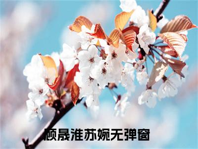 顾晟淮苏婉（顾晟淮苏婉）全文阅读完整版_顾晟淮苏婉小说免费阅读大结局（顾晟淮苏婉）