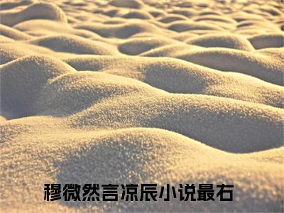 穆微然言凉辰（穆微然言凉辰）全文免费阅读无弹窗_穆微然言凉辰最新小说_笔趣阁