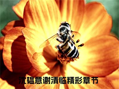 沈韫意谢清临(沈韫意谢清临）全文免费阅读无弹窗大结局_ 沈韫意谢清临最新章节完整版阅读