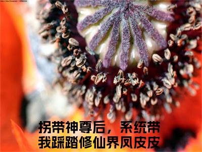 拐带神尊后，系统带我踩踏修仙界凤皮皮在线阅读全文免费阅读无弹窗大结局-拐带神尊后，系统带我踩踏修仙界凤皮皮最新章节列表-笔趣阁