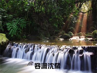 容渊沈鸳小说最新试读_(容渊沈鸳免费阅读最新章节列表)_笔趣阁