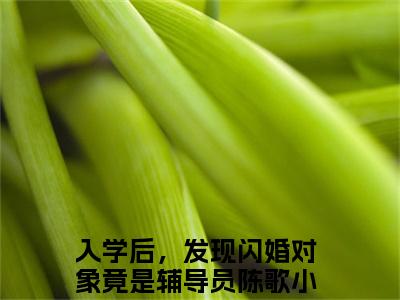 入学后，发现闪婚对象竟是辅导员陈歌（入学后，发现闪婚对象竟是辅导员陈歌）全文免费阅读无弹窗大结局_入学后，发现闪婚对象竟是辅导员陈歌最新章节列表_笔趣阁