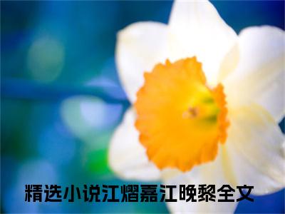 江熠嘉江晚黎小说全文免费阅读无弹窗-江熠嘉江晚黎全章节阅读