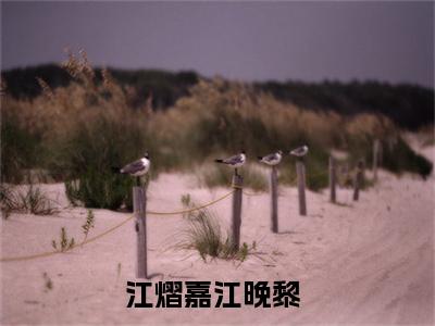 江熠嘉江晚黎小说（江熠嘉江晚黎全文完整版免费阅读）_江熠嘉江晚黎小说免费最新章节列表_笔趣阁