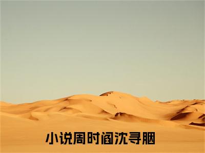 周时阎沈寻胭小说（周时阎沈寻胭全文完整版免费阅读）_周时阎沈寻胭小说免费最新章节列表_笔趣阁