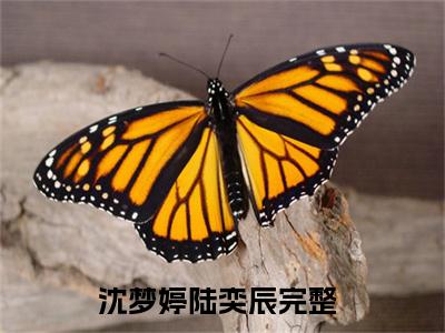 小说(沈梦婷陆奕辰)全文免费阅读_(沈梦婷陆奕辰)小说全文免费阅读