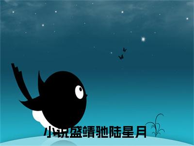 盛靖驰陆星月（盛靖驰陆星月）全文免费阅读无弹窗大结局_（盛靖驰陆星月）盛靖驰陆星月最新章节列表_笔趣阁（盛靖驰陆星月）