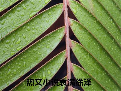 袁满徐泽完整版最新小说大结局 袁满徐泽最新章节