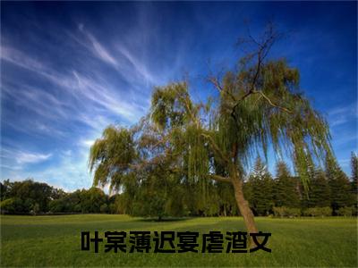 叶棠薄迟宴全文免费阅读_（重生后,顶级大佬上门求娶免费阅读无弹窗）叶棠薄迟宴最新章节列表笔趣阁