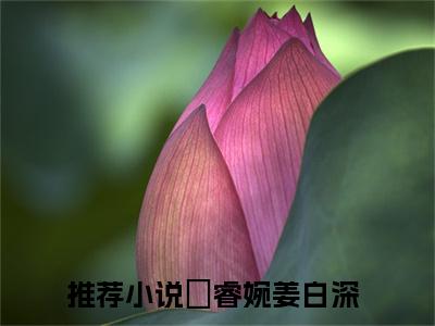 禇睿婉姜白深精彩章节-禇睿婉姜白深完整版阅读