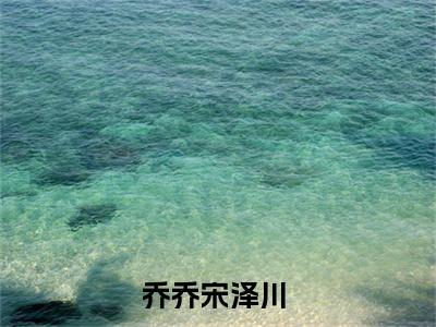 重生八零，这一次我只想做我自己（乔乔宋泽川小说）全文免费阅读无弹窗大结局_乔乔宋泽川小说免费阅读-笔趣阁