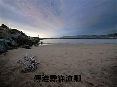 傅淮霖许沐卿（傅淮霖许沐卿）小说全文免费阅读_（傅淮霖许沐卿）小说全文无删减版在线阅读