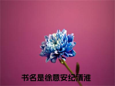 主角是徐意安纪清淮的小说-精选热门小说（徐意安纪清淮）