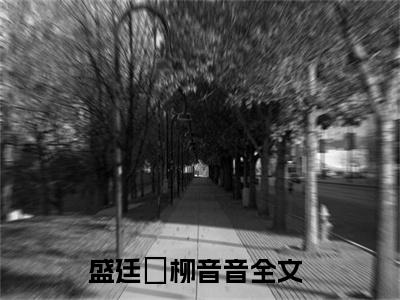 盛廷禛柳音音最新热门小说-（盛廷禛柳音音）最新章节免费阅读