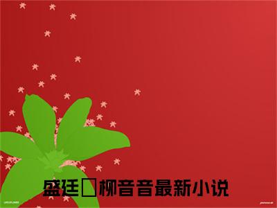 盛廷禛柳音音小说免费阅读（盛廷禛柳音音）全文免费阅读无弹窗大结局_盛廷禛柳音音小说免费阅读最新章节列表_笔趣阁（盛廷禛柳音音）