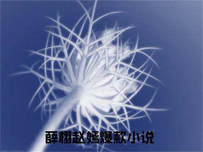 薛栩赵嫣热门小说 全文免费阅读无弹窗大结局-薛栩赵嫣全文无弹窗免费阅读大结局