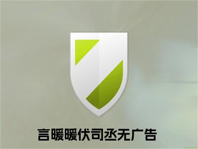 言暖暖伏司丞小说全文免费阅读，言暖暖伏司丞完整版