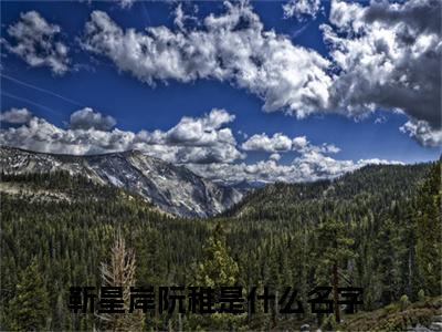 靳星岸阮稚小说在线阅读（靳星岸阮稚）全文免费阅读无弹窗大结局_靳星岸阮稚小说免费最新章节列表_笔趣阁（靳星岸阮稚）