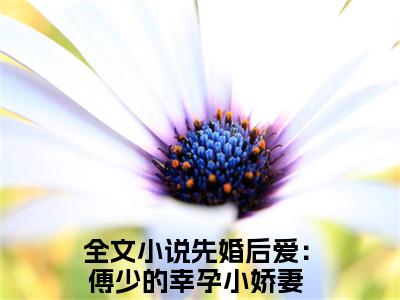 小说（洛繁星傅云琛）全文免费阅读_（先婚后爱：傅少的幸孕小娇妻）小说全文免费阅读